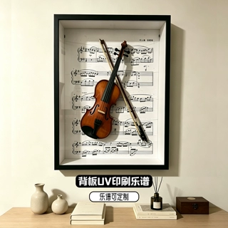 小提琴相框中空立体标本框加大厚相框收纳装裱可挂墙超大展示盒