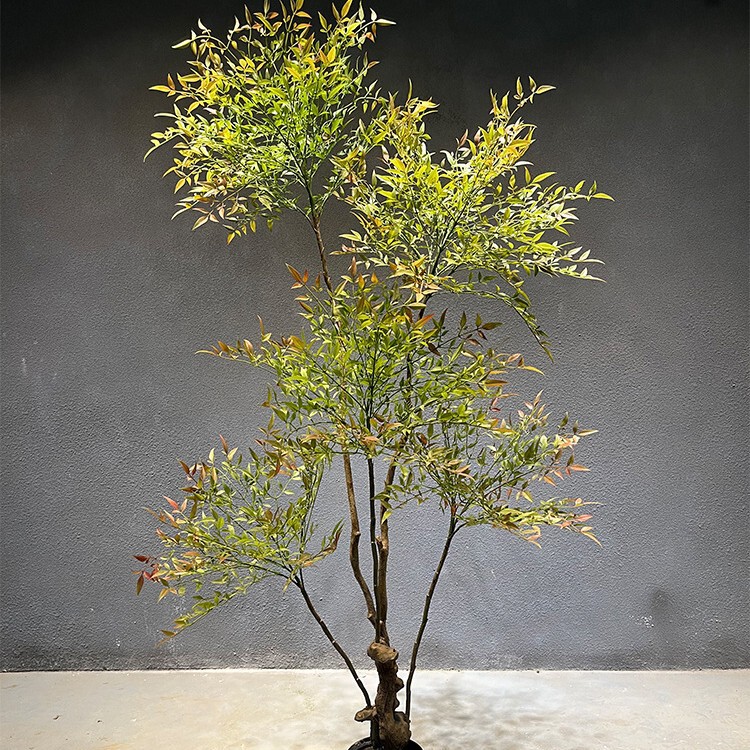 新中国式茶室景観装飾シミュレーション緑植南天竹鉢植え室内ショーウインドー着地造景装飾緑植|undefined