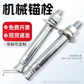 机械锚栓后扩底锚栓电热镀锌单管双管自切式膨胀螺栓膨胀螺丝批发