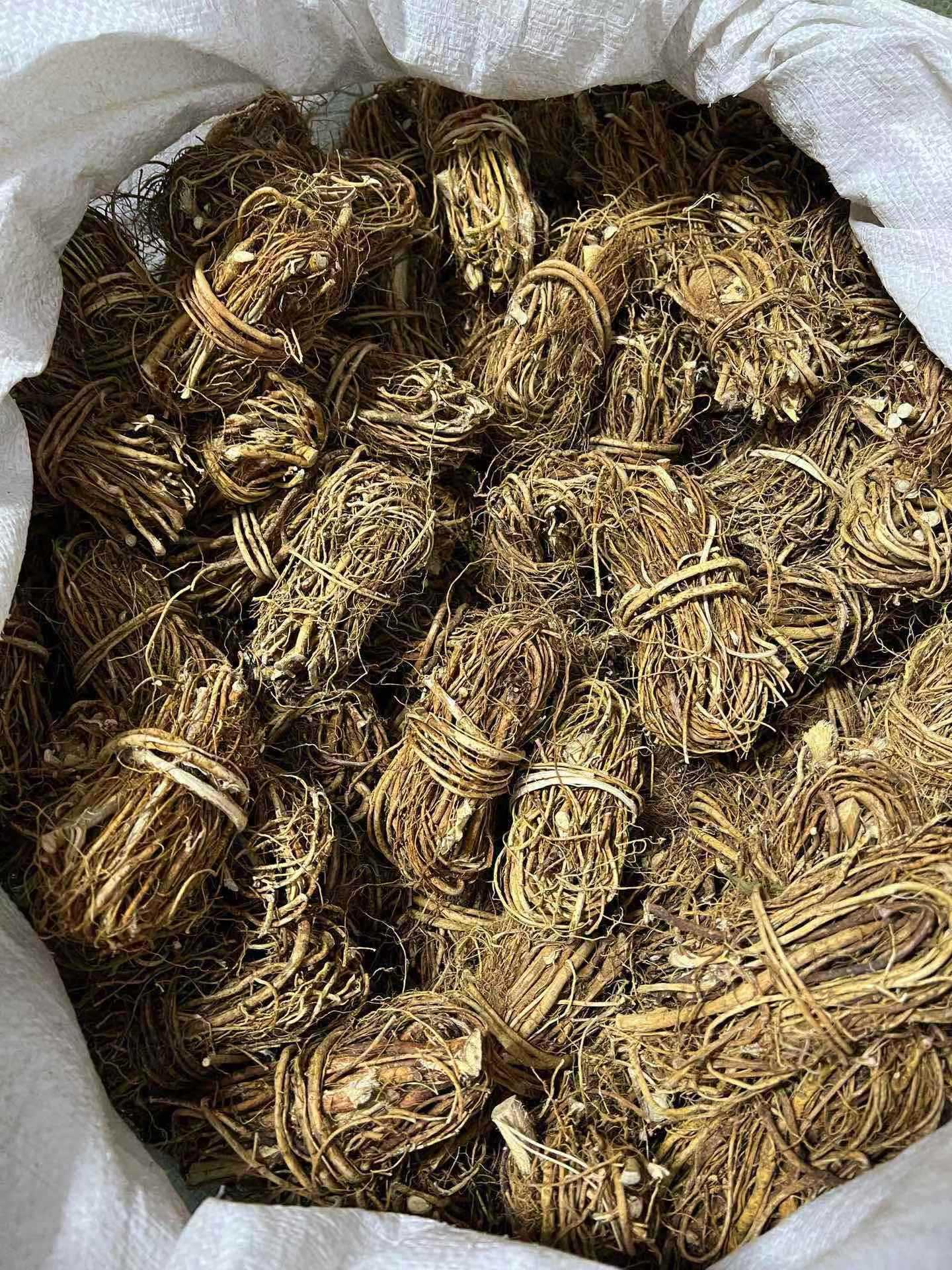 Dried Wuzhimaotao Root Bundles Cantonese Soup Herb 50g in use