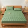 Waterproof model-fruit green JT