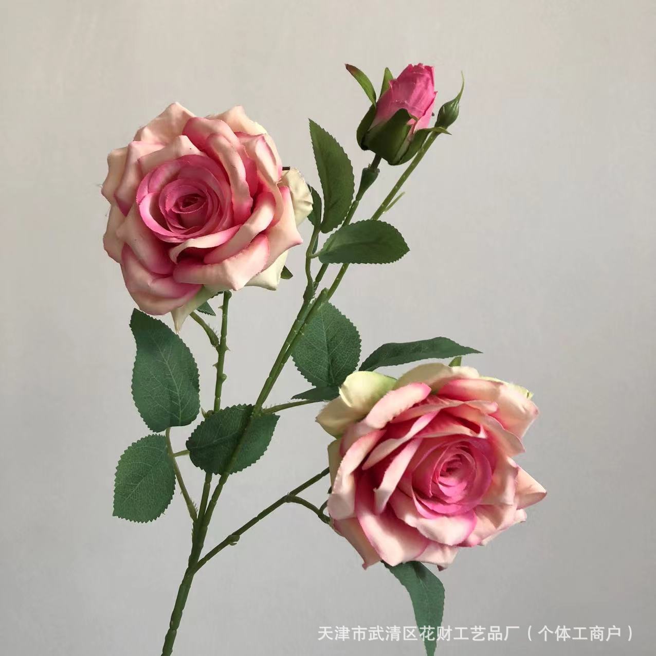 그라데이션 파우더