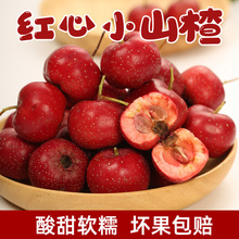 ���ɽ髹����rɽ髹���t��Сɽ�ɽ��t����ɽ髴����ɽ��r��