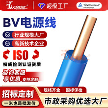 加工定制无氧铜芯国标BV1.0 1.5 2.5 4 6 10平方电线单芯铜线