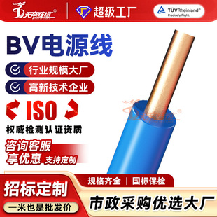 �ӹ����Ɵo���~о����BV1.0 1.5 2.5 4 6 10ƽ��늾���о�~��