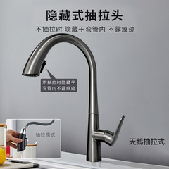 Gun Grey Kitchen Pull-out Hot and Cold Water Faucet Full Copper Double Scrubbing Vegetable Basin Sink Dishwashing Pool Retractable Faucet