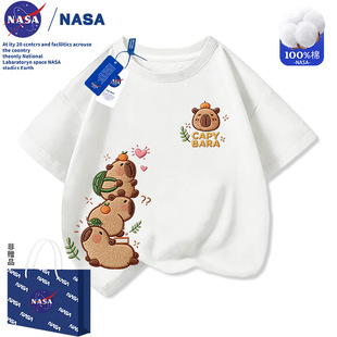 NASA��Ƥ�����·���ͯ���޶���T��20026�ļ��´̽�ӡ���д�ͯ����