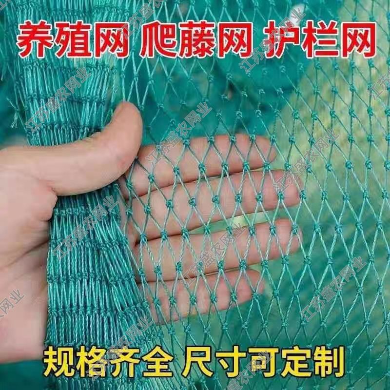 千人复购果园防鸟网养殖网养鸡网家用爬藤网大棚葡萄樱桃天网网格