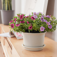 �����������l�A�μӺ��̖�̨���ԷNֲ����������⻨��ֲ��Gֲ