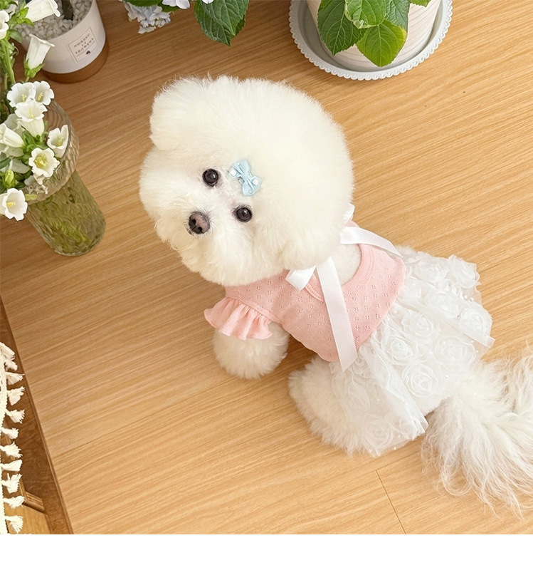Vestido para cão estilo coreano roupa de princesa doce pet_voghion.com