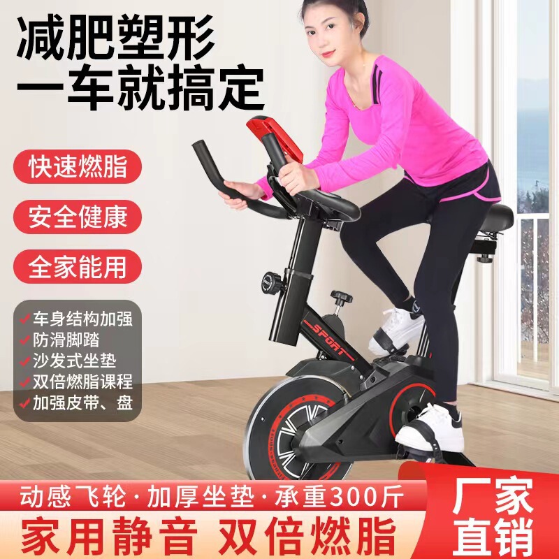 2025 Upright Magnetic Silent Exercise Bike Commercial Gym Home Sports Bike Equipment Smart Cycling