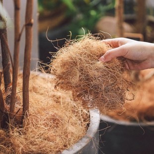 Shredded Coconut Potted Flower Growing Flower Gardening Flower Pot Nordic Style Filler Surface Covering Decorative Coconut Shell Shredded Bird's Nest