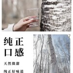 白桦树原汁白桦树汁白桦树原液桦树汁桦树原汁桦树汁白桦树汁