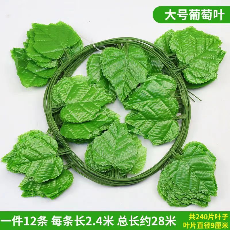 20 큰 포도 잎 12