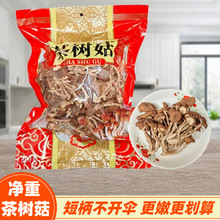 短柄茶树菇干货净重500g剪根未开伞嫩菇茶树菇福建香菇类干茶树菇