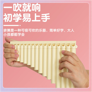 ✅Yi-to-learn Pai Xiao 16-tube 18-tube Children's Professional Playing Ethnic Musical Instruments Primary School Beginners Pai