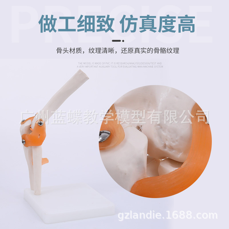 �ؽڹ���ģ�� ������ؽڹ���ģ�� �ؽڹ����걾 ������ؽ�ģ��