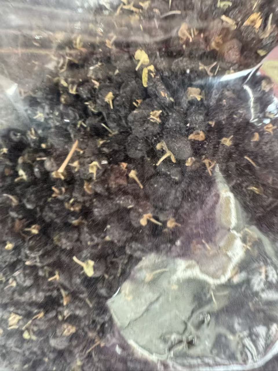 Black Goji Berries Hei Gou Qi Dried Whole Berries for Tea and Soup 1000g Bag Qinghai Premium Grade specifications