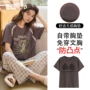 女士薄款短袖爆款家居服
