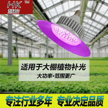 ȫ���V���Ҵ����߲��a�������ֲ���ͽ��ɫ���ܾGֲ���L�����]�S