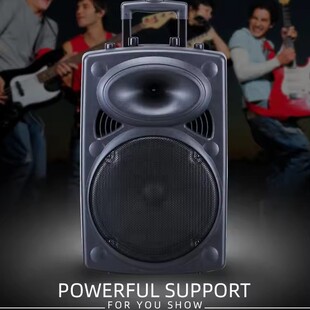 JBI-1515P����15Ӣ����������Utrolley speaker  TWS FM