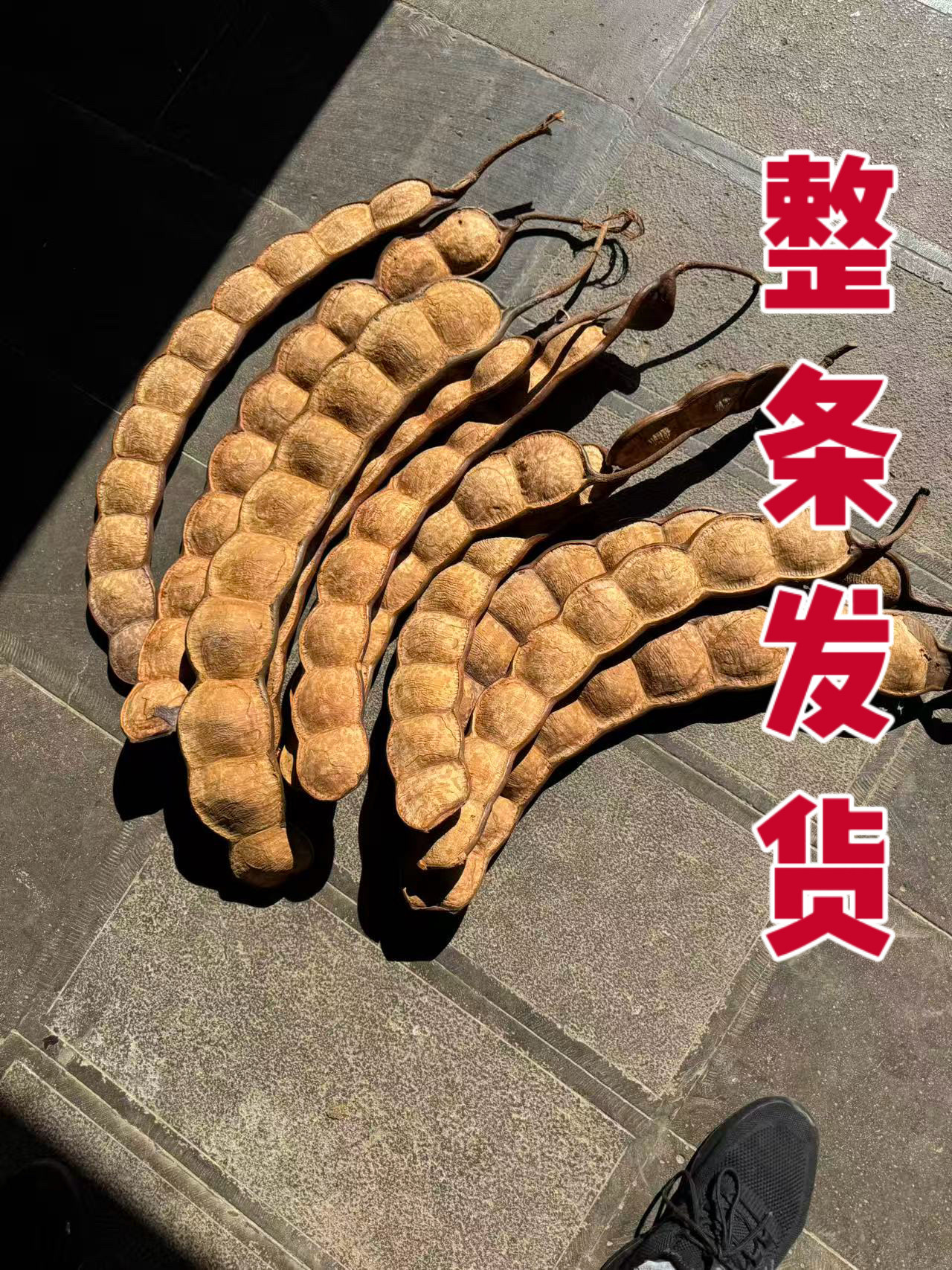 整条.jpg