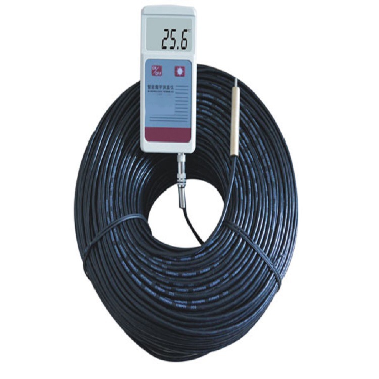 亚欧 深井测温仪 地下水测温仪 海洋测温仪 DP-SJSW