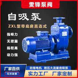 ZXL型带底座直连式自吸泵不锈钢防爆自吸泵耐腐蚀卧式污水自吸泵