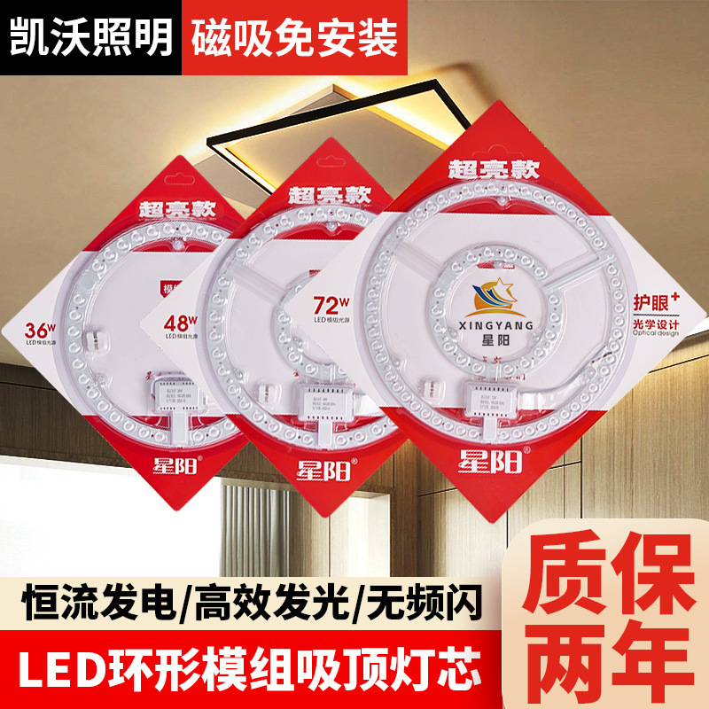 Led Ceiling Light Module Lamp Core Full Spectrum Oem Customization Cross-Border Hot-Selling Magnetic Light Panel Light Source