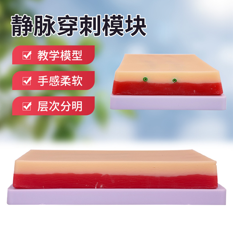 �ɷ������� ����ע�䴩����ϰģ�� ��ʿ��Һ����ע��ѵ��Ƥ��ע��