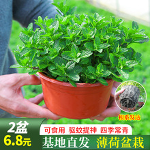 ˮౡԿʳÙʱ~Ե҃rGֲòֲ