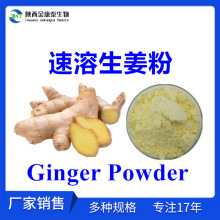 ʳƷ۽ۺ1%GingerPowderֻ֭