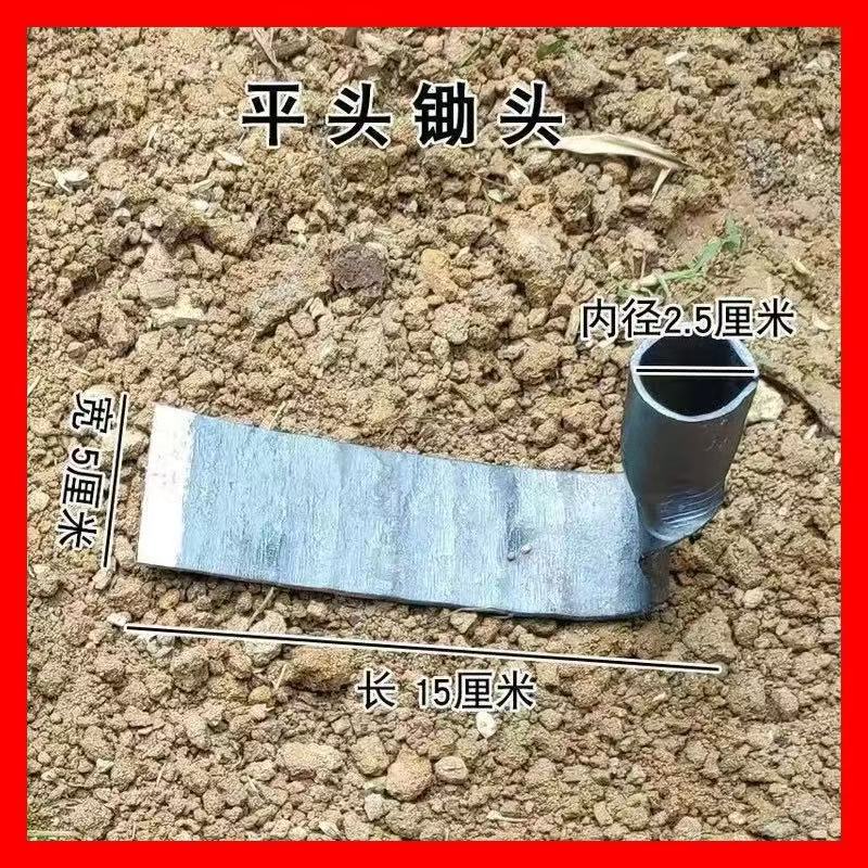 微信图片_202503301441332.jpg