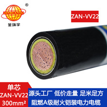 ��h����| 0.6/1KV�͉�a����ȼ�ͻ��z�b��|ZAN-VV22-300