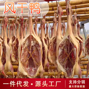 �L�����D�������D���������r��ɢ�B�����Dζ�L��������ֻ���l