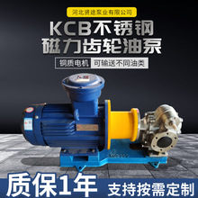 KCB不锈钢磁力齿轮泵厂家供应304食品级大流量磁力驱动泵齿轮油泵