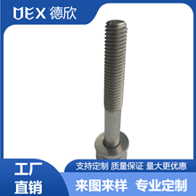 �S��ֱ�N304���P䓽M���ݽz �ǘ˃�������ƽ�|���|�M���ݽz