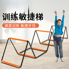 ~���������ݿ��ۯB���ռ{ƴ���������w��Ӗ������Ӗ��ܛ��