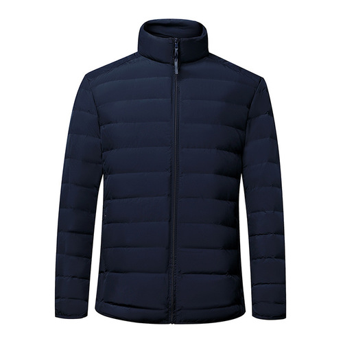New off-season casual lightweight down cotton jacket for men, white down insulated stand-up collar short down jacket