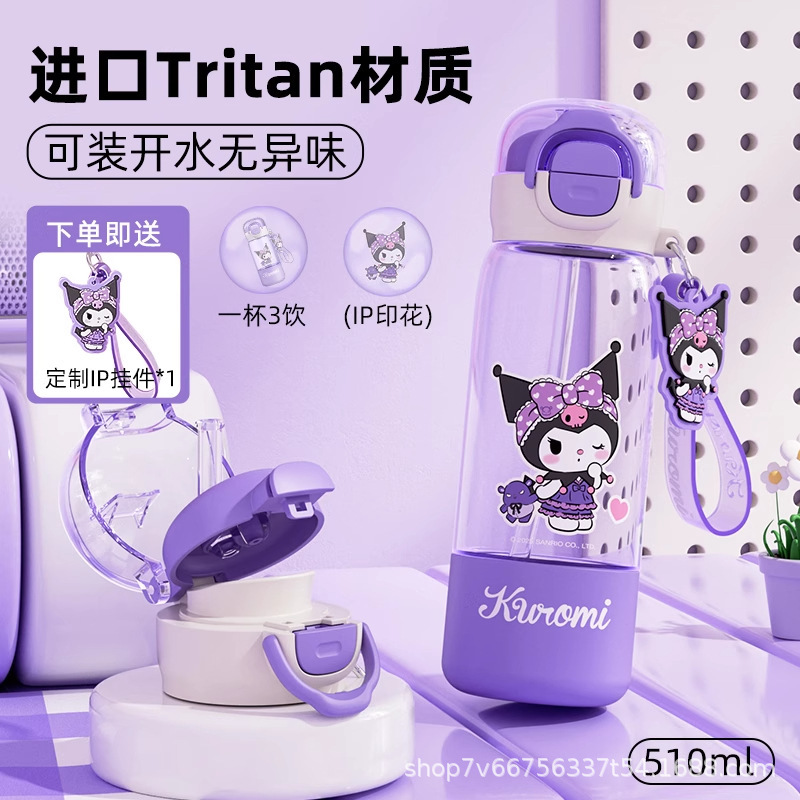 三丽鸥儿童水杯上学专用夏季新款2025高颜值女孩外出便携吸管杯子|undefined