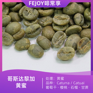 25�� ��˹�_����S�� ���������Ű����� ���Ѹ�|����|ʯ��|����