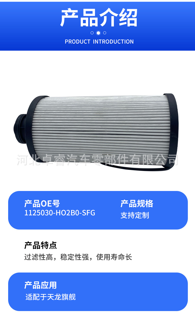 Source Manufacturer Spot Supply Car Filter 1125030-Ho2B0-Sfg Tianlong Flagship Cannon Filter Element