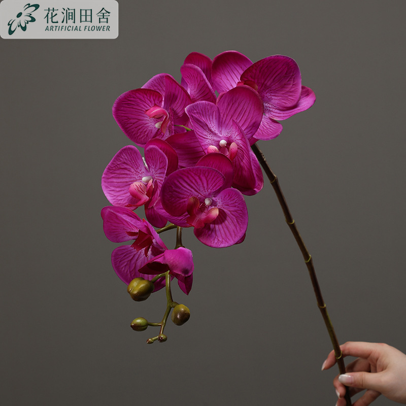 造花感触保湿胡蝶蘭感触大きな蘭の写真撮影の装飾品家の装飾造花卸売|undefined