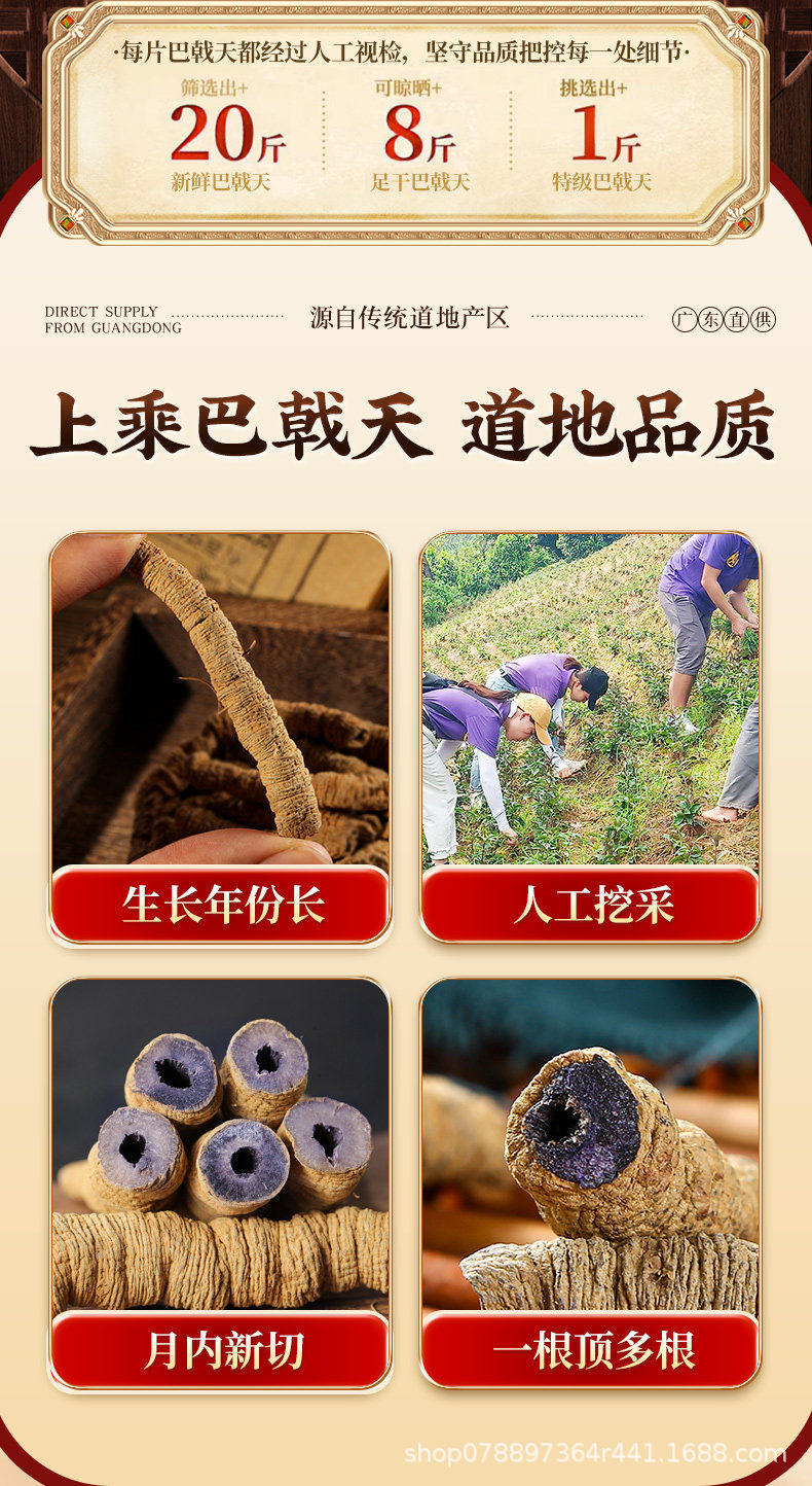 Premium Morinda Root 100g Ba Ji Tian Dried Herbal Slices for Soup and Wine Soaking overview
