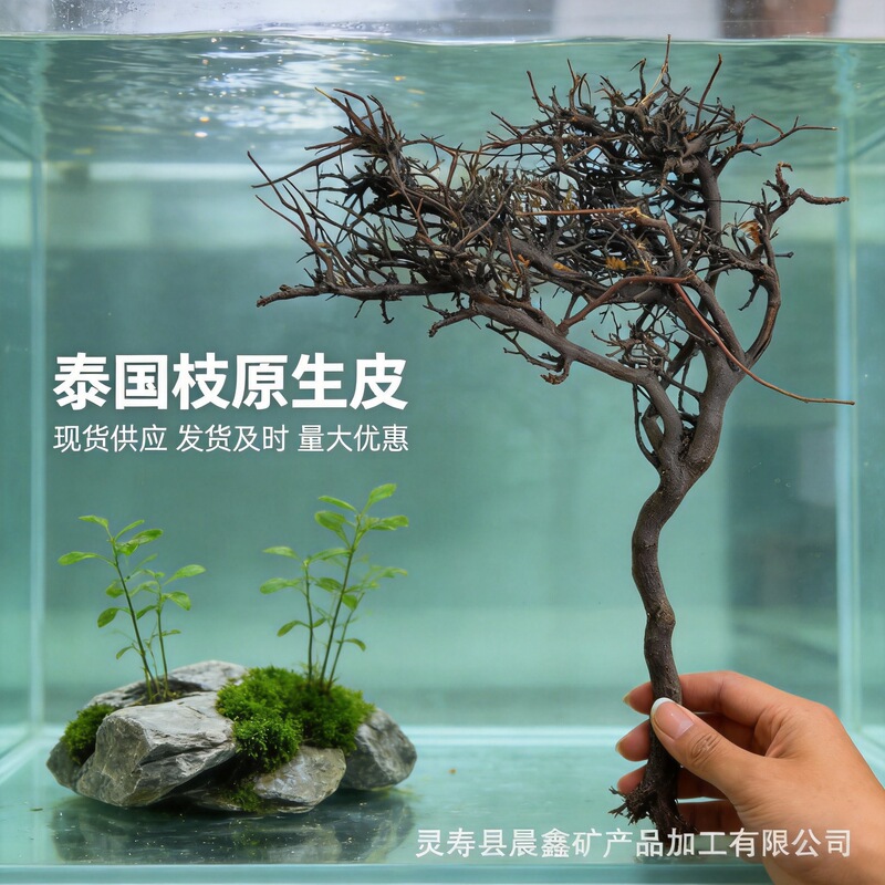 Thai Branch Aquarium Landscaping: Thai Branch Natural Bark Driftwood Moss Tree Rhododendron Root for Fish Tanks and Grass Tanks, Fine Branches by the Pound Thai Branch Aquarium Landscaping: Thai Branch Natural Bark Driftwood Moss Tree Rhododendron Root for Fish Tanks and Grass Tanks, Fine Branches by the Pound
