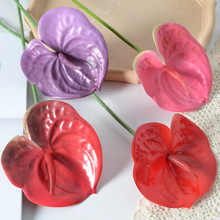 高端单支红掌3D仿真花  火鹤手感客厅摆件装饰婚礼家居假花人造花