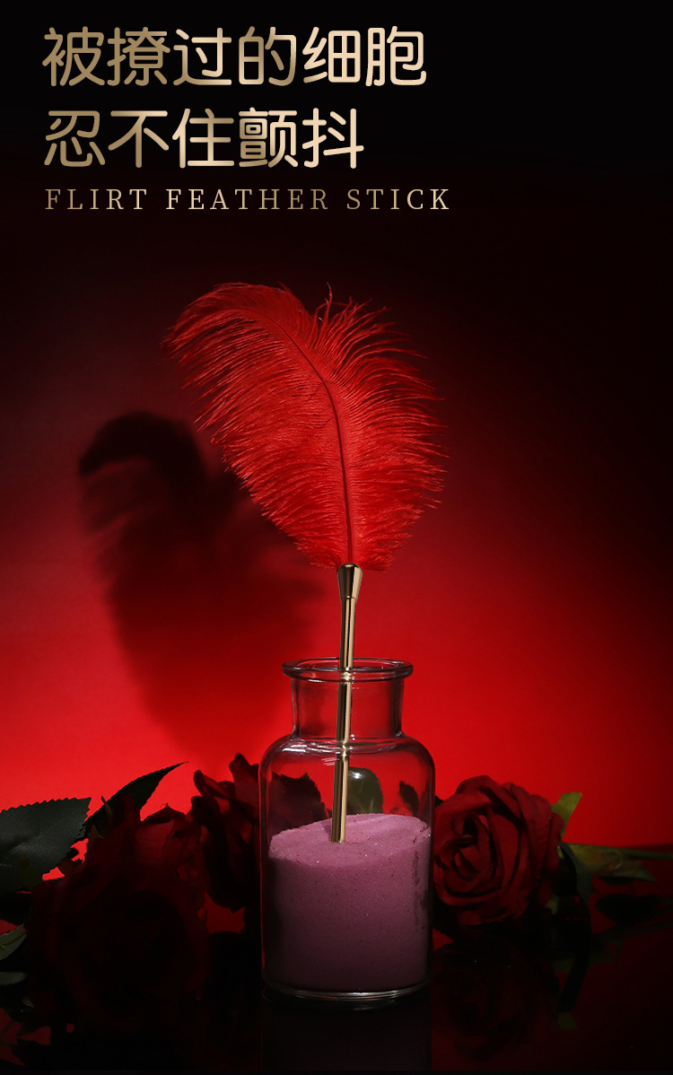 Feather Teasing Stick with Zinc Alloy Handle for Adult Couples — detail image 5