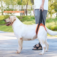 跨境宠物辅助带 新款残疾犬高龄犬受伤狗可调节式后腿提拉辅助带