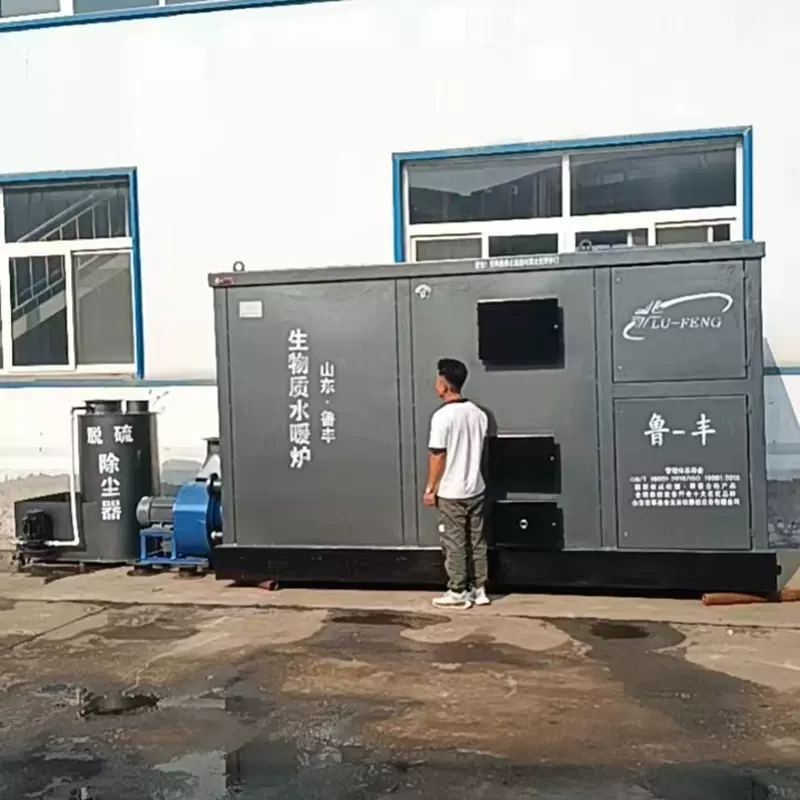 山东鲁丰80w生物质水暖炉大棚花卉取暖炉恒温锅炉柴煤养殖场专用