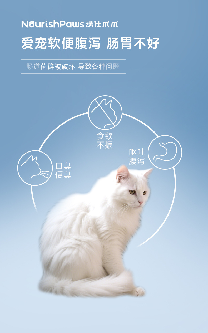 肠胃舒详情-诺仕_04.jpg